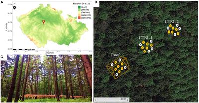 Physiological and biochemical changes of Picea abies (L.) during acute drought stress and their correlation with susceptibility to Ips typographus (L.) and I. duplicatus (Sahlberg)